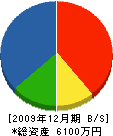 竹内電機 貸借対照表 2009年12月期