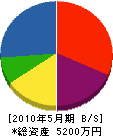 伊藤ポンプ工業所 貸借対照表 2010年5月期