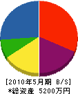伊藤ポンプ工業所 貸借対照表 2010年5月期 伊藤ポンプ工業所 貸借対照表 2010年5月期