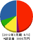 和歌山設備設計 貸借対照表 2012年3月期