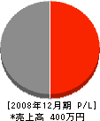 川村塗装店 損益計算書 2008年12月期
