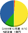 藤山組 貸借対照表 2009年12月期