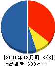 生駒造園 貸借対照表 2010年12月期