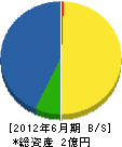 崎元組 貸借対照表 2012年6月期