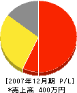 松本庭園 損益計算書 2007年12月期