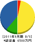 坪井電気商会 貸借対照表 2011年9月期