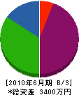 渡辺造園 貸借対照表 2010年6月期