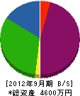 松原設備工業 貸借対照表 2012年9月期