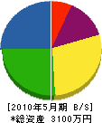上野造園 貸借対照表 2010年5月期