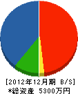 小泉工業 貸借対照表 2012年12月期