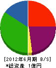 岩村電気水道 貸借対照表 2012年6月期