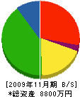 渡邊工務店 貸借対照表 2009年11月期