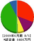 平成道路 貸借対照表 2009年6月期