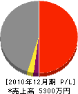 佐々本工業 損益計算書 2010年12月期