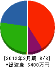 金井田電業 貸借対照表 2012年3月期