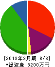年寿興産 貸借対照表 2013年3月期