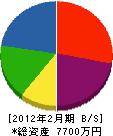 湯澤電工 貸借対照表 2012年2月期