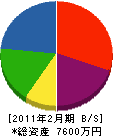 湯澤電工 貸借対照表 2011年2月期