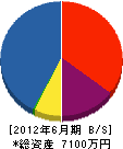 システム松田 貸借対照表 2012年6月期