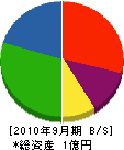 藤井住宅設備 貸借対照表 2010年9月期