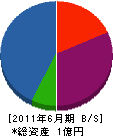芳賀総合システム 貸借対照表 2011年6月期