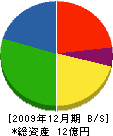 渡辺富工務店 貸借対照表 2009年12月期