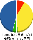 豊坂建設 貸借対照表 2009年12月期
