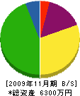 矢能建設 貸借対照表 2009年11月期