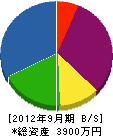 西村電気工業所 貸借対照表 2012年9月期