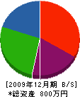 木下工務店 貸借対照表 2009年12月期