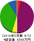 田谷工務店 貸借対照表 2010年5月期