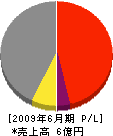 佐竹工業 損益計算書 2009年6月期