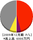 新竹建設 損益計算書 2009年12月期