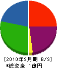 坂井組建設 貸借対照表 2010年9月期