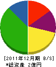 ツヂ商会 貸借対照表 2011年12月期