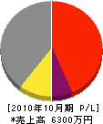 新越設備 損益計算書 2010年10月期