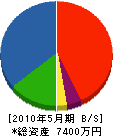 坂本工務店 貸借対照表 2010年5月期