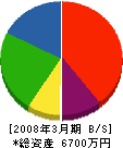石野テント 貸借対照表 2008年3月期