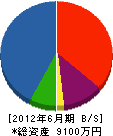 鈴木木材店 貸借対照表 2012年6月期