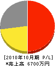 シンリツ 損益計算書 2010年10月期