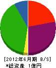 ヤナギサワ 貸借対照表 2012年6月期