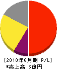 大内田産業 損益計算書 2010年6月期