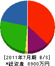 エバアメント宮崎 貸借対照表 2011年7月期