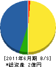 崎元組 貸借対照表 2011年6月期
