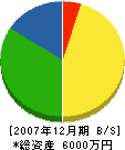 田代建設 貸借対照表 2007年12月期