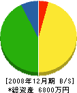 松川工務店 貸借対照表 2008年12月期