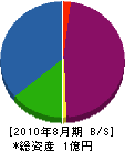 新光建設 貸借対照表 2010年8月期 新光建設 貸借対照表 2010年8月期
