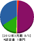 柳澤電気工業 貸借対照表 2012年3月期
