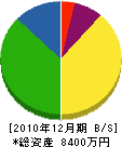 柳沢土木 貸借対照表 2010年12月期