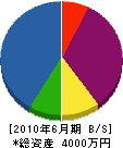 大阪装備工芸 貸借対照表 2010年6月期